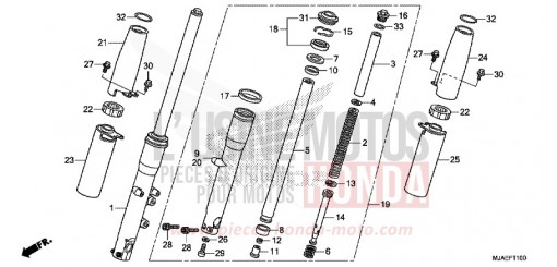 FRONT FORK (VT750CS/C2B/C) VT750C2BE de 2014